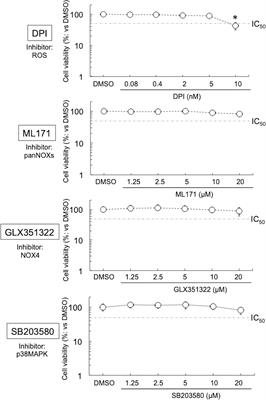 Chlamydia trachomatis Requires Functional Host-Cell Mitochondria and NADPH Oxidase 4/p38MAPK Signaling for Growth in Normoxia